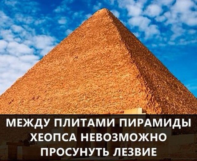 Удивительные факты в мире, факты