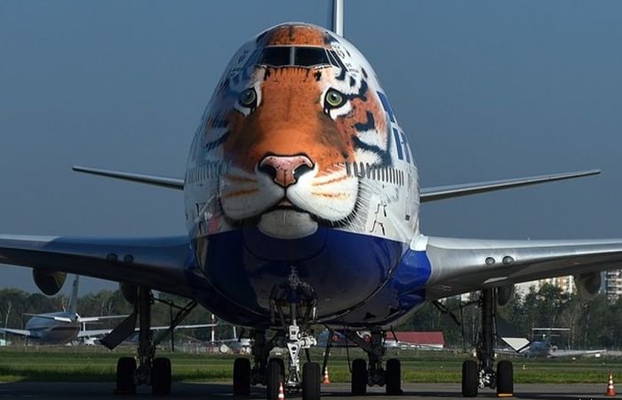 Юмор из самолёта сделает ваш день картинки