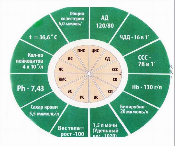 ÐÐ°ÑÑÐ¸Ð½ÐºÐ¸ Ð¿Ð¾ Ð·Ð°Ð¿ÑÐ¾ÑÑ 12 ÐºÐ¾Ð½ÑÑÐ°Ð½Ñ Ð¶Ð¸Ð·Ð½Ð¸ Ð¸ Ð·Ð´Ð¾ÑÐ¾Ð²ÑÑ