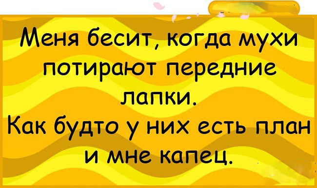 Анекдоты — шедевр! 23 ярких доказательства от «Рассмеши Мозг» анекдоты