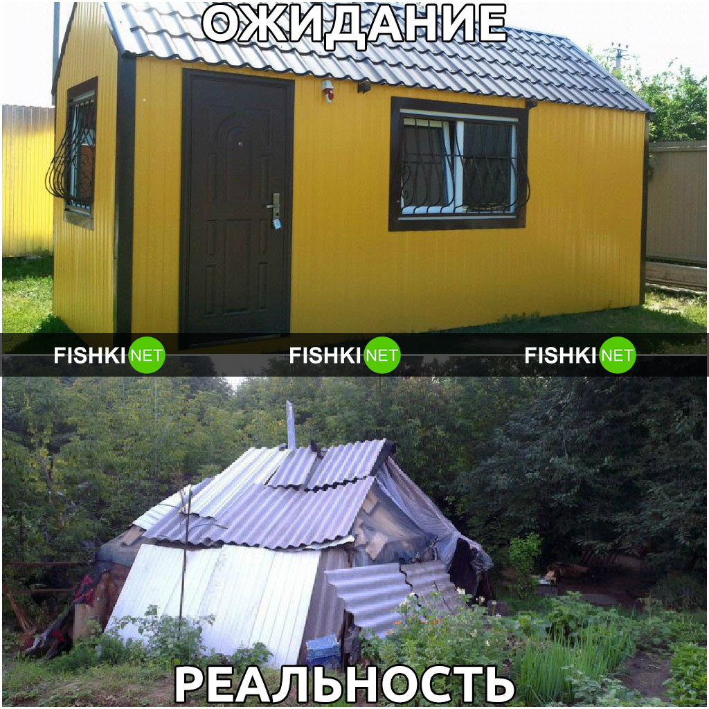 Дача ожидание и реальность смешные картинки