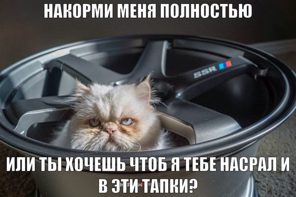 Утренняя подборка интересных и веселых картинок №8 отдых