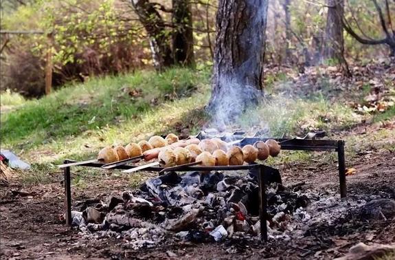 В Хабаровском крае МЧС начинает штрафовать за приготовление шашлыков