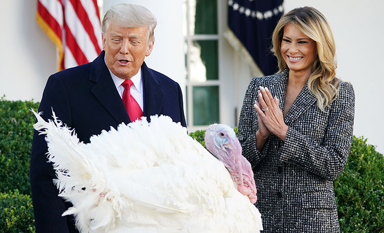Дональд с Меланией Трамп и индейка Кукуруза приняли участие в традиционной церемонии в Белом доме