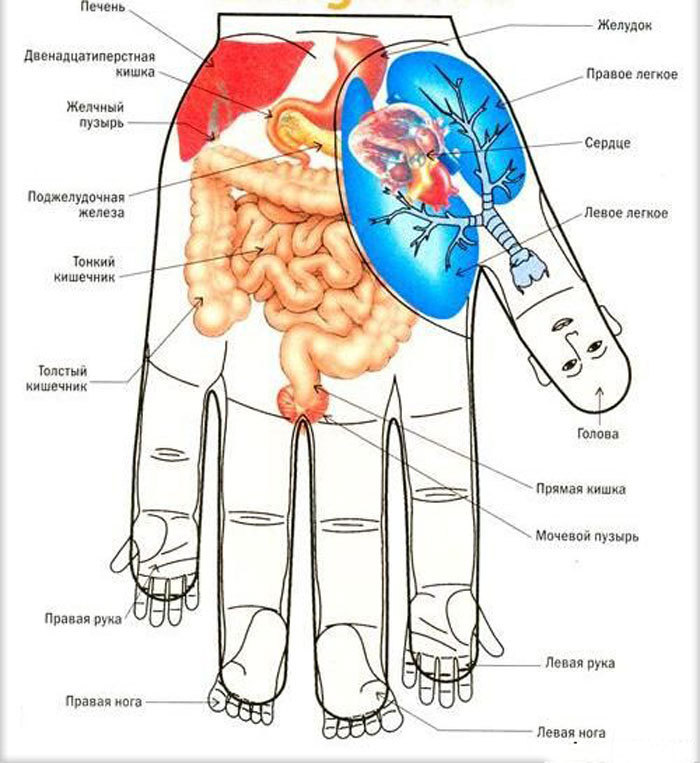 От головной боли, напряжения, тревожности и стрессов – массаж пальцев От головной боли, напряжения, тревожности и стрессов – массаж пальцев полезные советы,разное