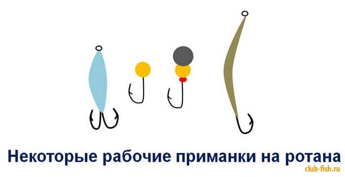 Ловля ротана зимой по первому льду и в другие периоды