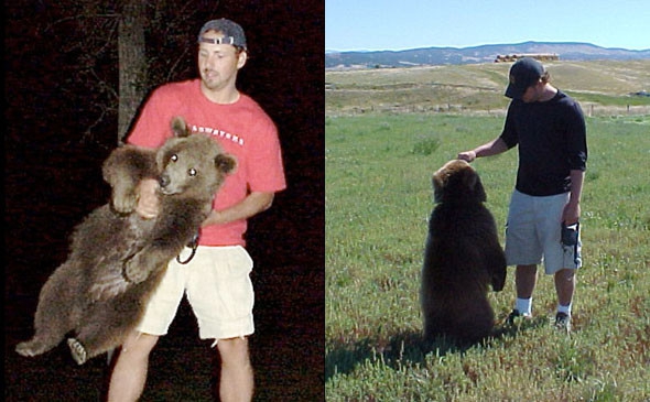 Удивительная история дружбы человека и медведя гризли гризли, дружба, медведь