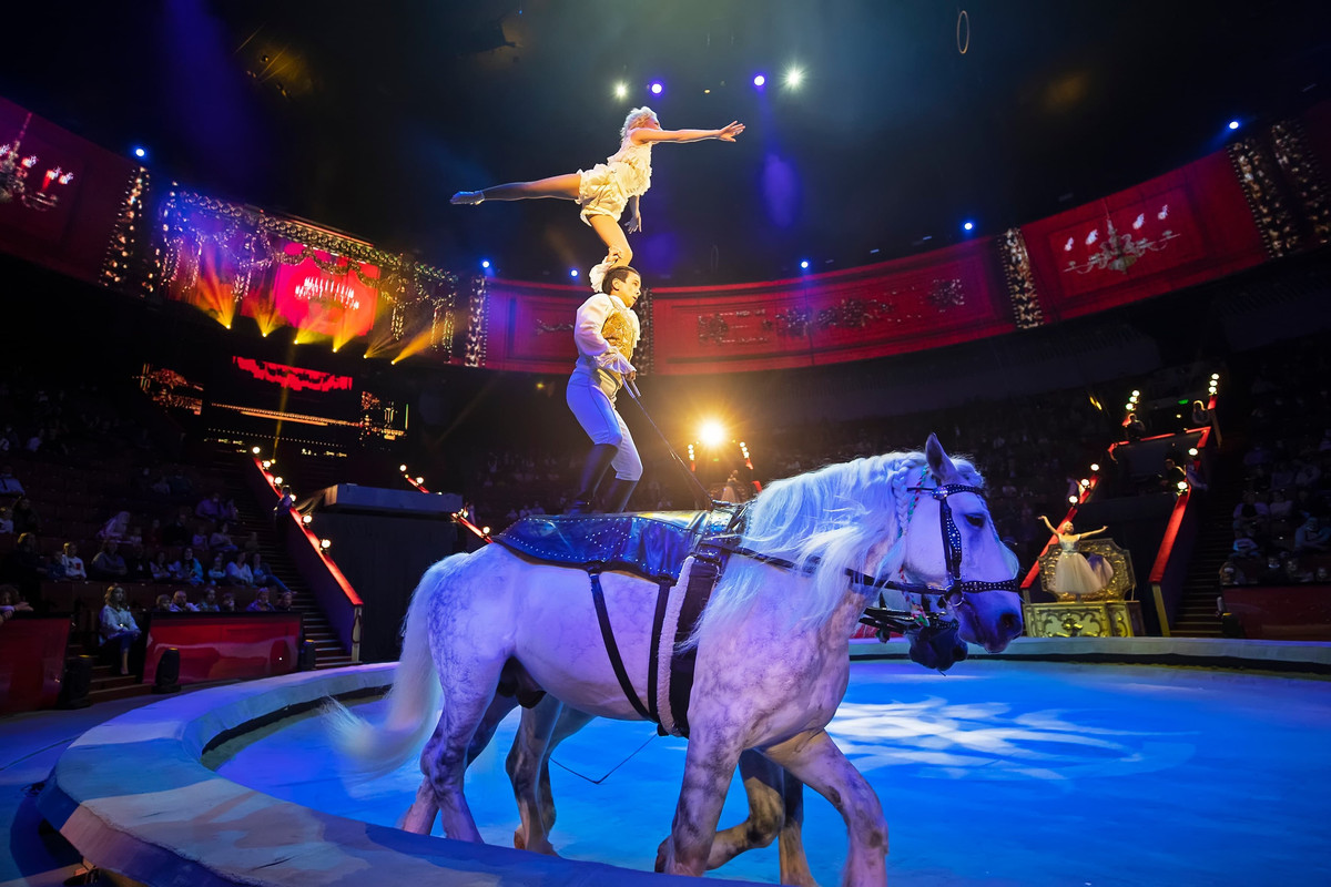 «и100рия» в Большом Московском цирке — купить билеты