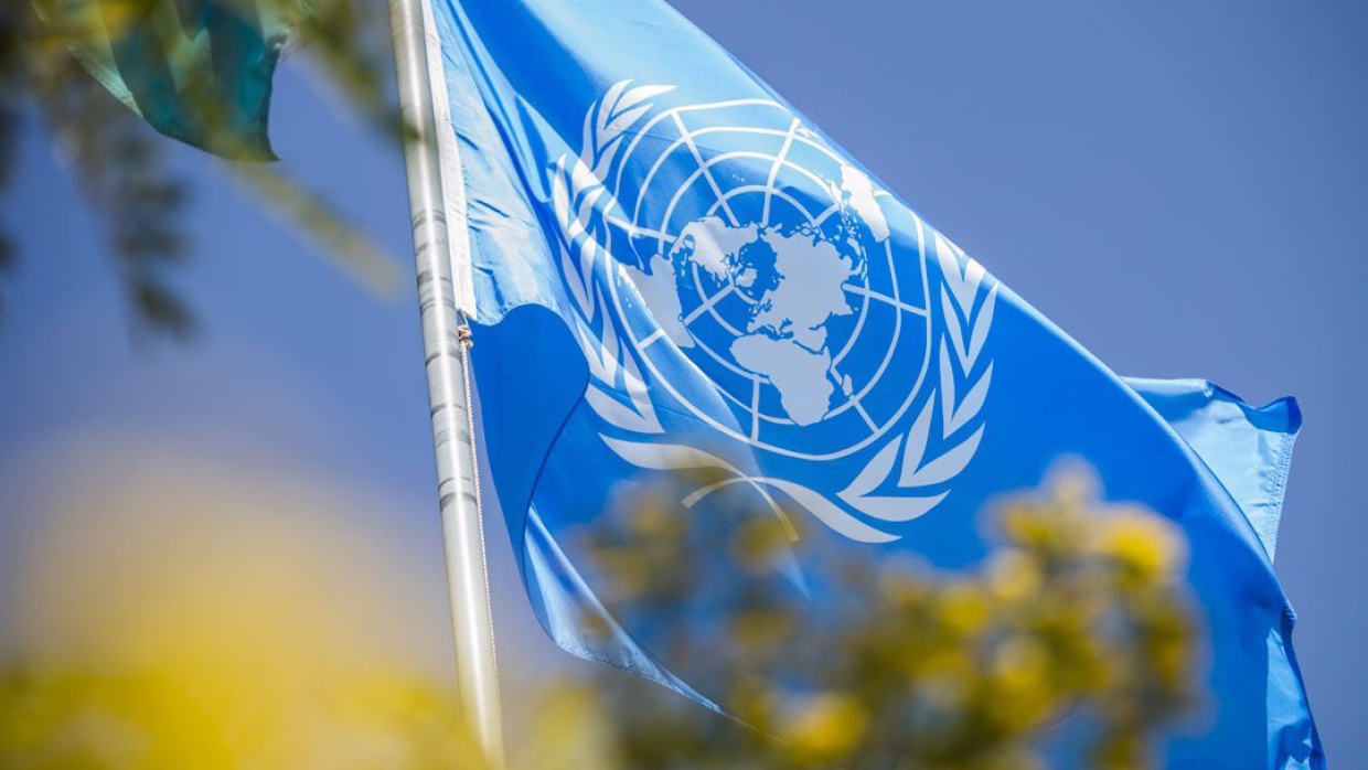 «Военного пути решения проблемы нет»: об итогах заседания Совбеза ООН по Эфиопии