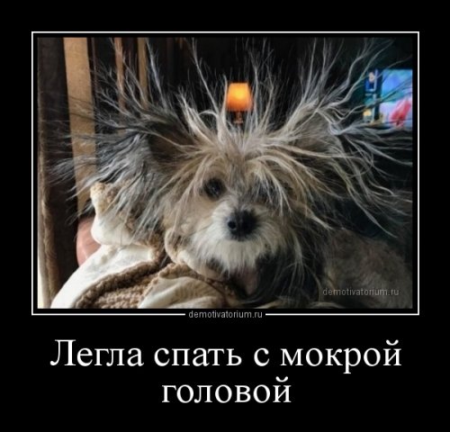 Демотиваторы дня Демотиваторы дня