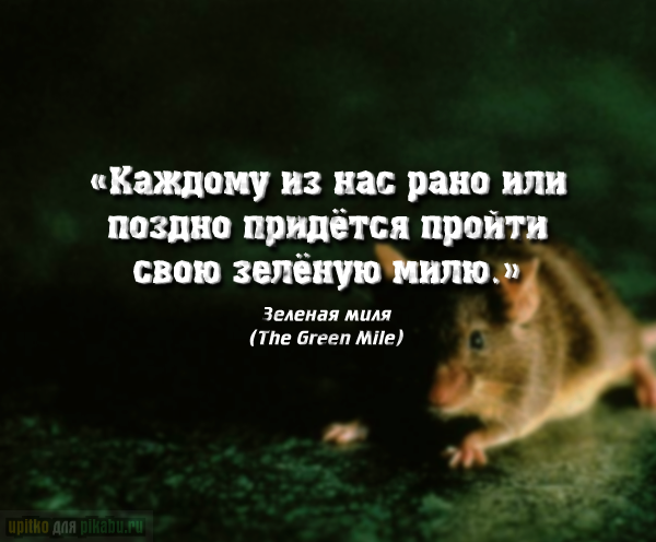 Крылатые фразы из популярных фильмов Крылатые фразы из популярных фильмов заморские звезды