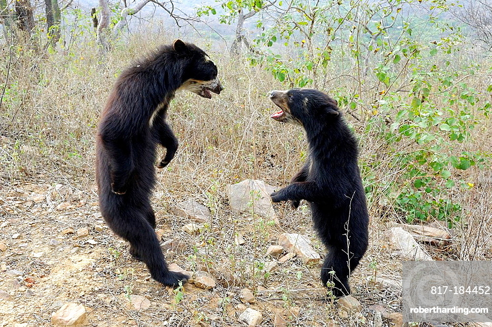 Когда пришёл вломить соседу за то, что он сверлит стену с утра до ночи.