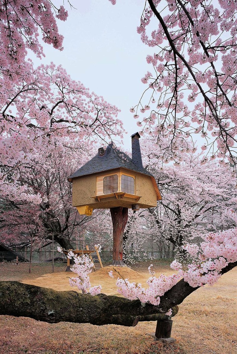 12. Чайный домик Tetsu в Яманаси, Япония. в мире, дом