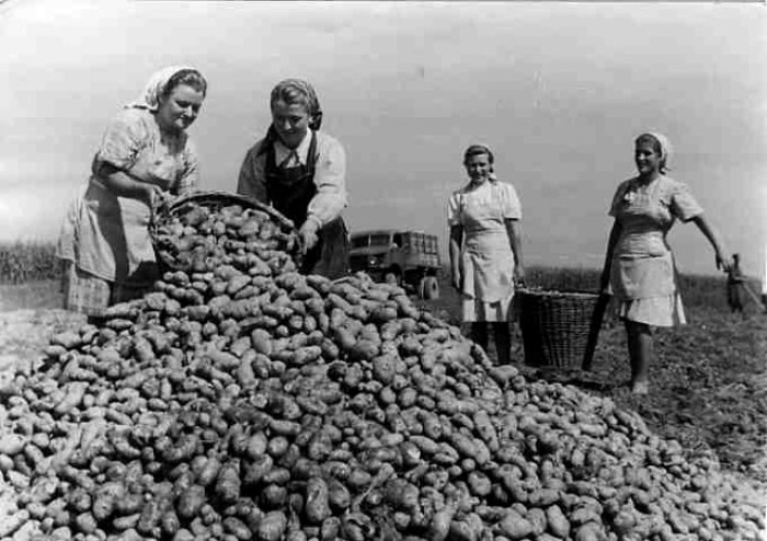 Дачниками в Советском Союзе были многие. /Фото: day.org.ru Дачниками в Советском Союзе были многие. /Фото: day.org.ru