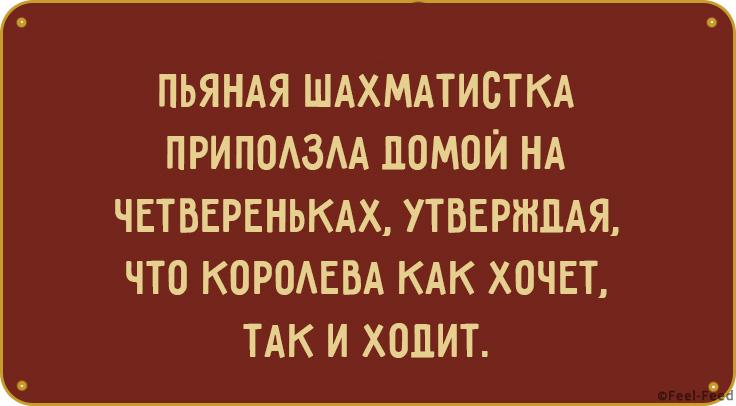 6-kopiya