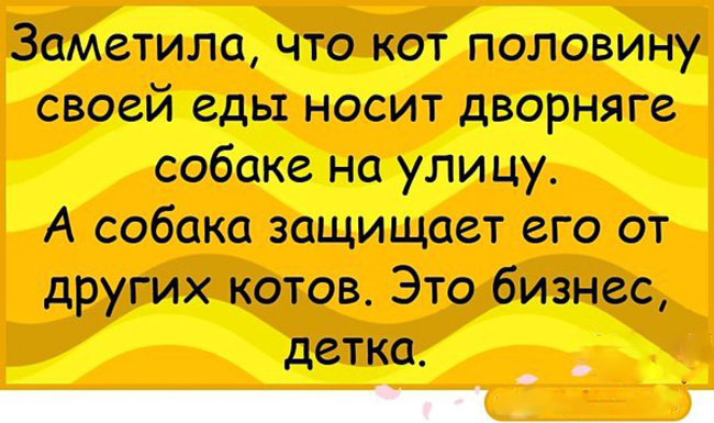 Анекдоты — шедевр! 23 ярких доказательства от «Рассмеши Мозг» анекдоты