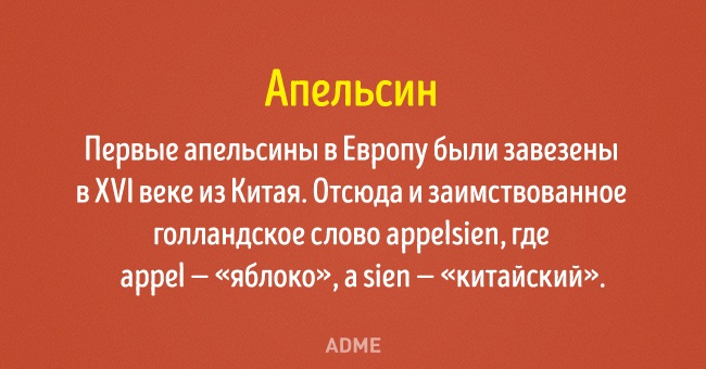 20 открыток о том, как появились известные всем слова