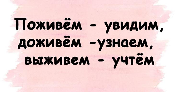 Поднимем настроение каждому: юмористические подборки 