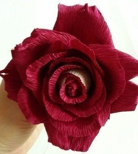 Двухцветная розa из бумаги: красивая идея для творчества Двухцветная, бумаги, будет, радовать, очень, долго Только, мочите, уборке  