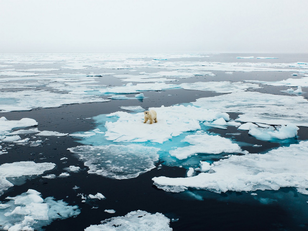 Арктика и Антарктика на удивительных снимках Джона Бозинова Антарктика,Арктика,тревел-фото