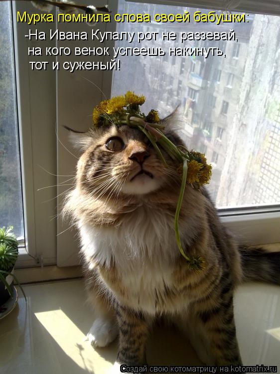Картинки со словами я не приду