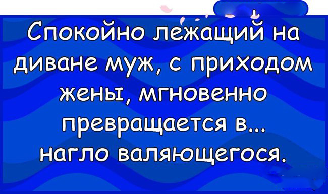 Анекдоты — шедевр! 23 ярких доказательства от «Рассмеши Мозг» анекдоты