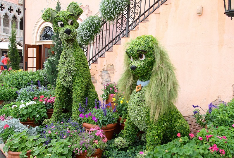 Топиар — зеленое искусство фигурной стрижки  природа