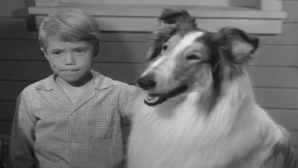 Timmy (Jon Provost) and his dog, Lassie, watch Mr. Cuppy deliver ice for their icebox to the Martin farm.