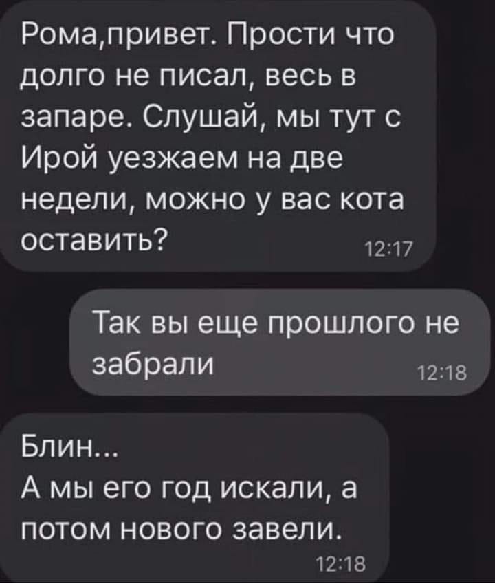 Возможно, это изображение (текст «рома,привет. прости что долго не писал, весь в запаре. слушай, мы тут c ирой уезжаем на две недели, можно y вас кота оставить? 12:17 так вы еще прошлого не забрали 12:18 блин... A мы его год искали, a потом нового завели. 12:18»)