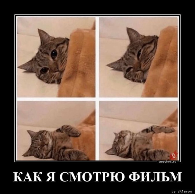 Демотиваторы прикольные: «Расставляй по фэншую…» 