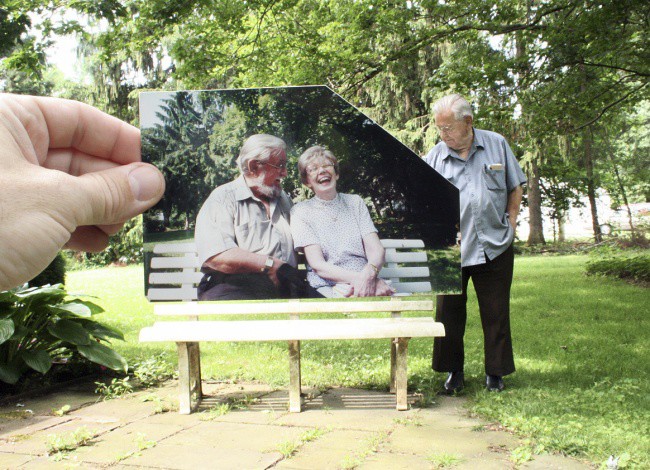 Фотографии, которые «целятся» в самое сердце сердце, фотографии