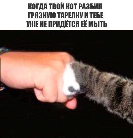 Позитивные и веселые картинки с надписью для веселья (11 фото)