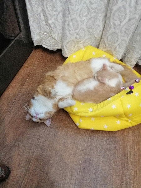 Охлаждаю голову