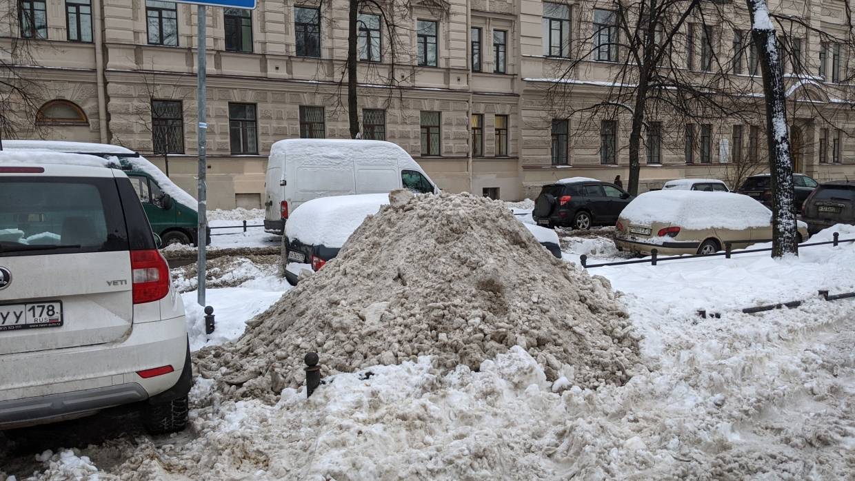 «Почему снег не вывозят, не могу понять»: актриса Семак ужаснулась качеством уборки в Петербурге Общество