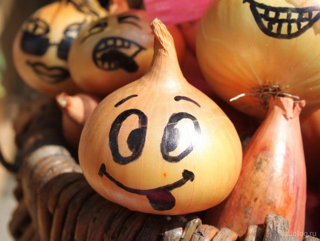 Приколы про лук Приколы про лук