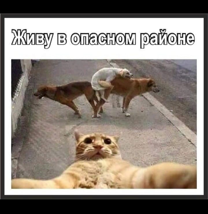 Доктор, у моей жены пропал голос. Что делать?