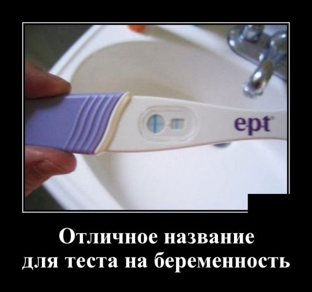 Методика остановки коня на скаку Методика остановки коня на скаку