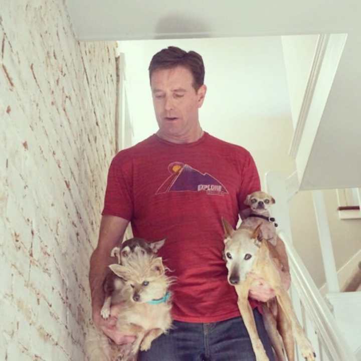 мужчина забирает из приюта старых собак