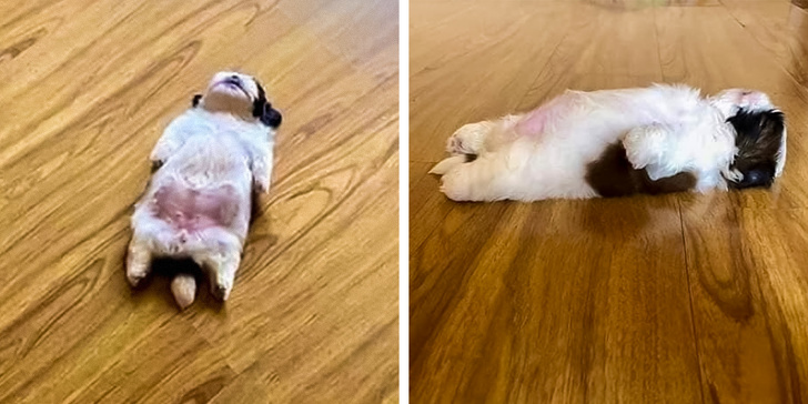 17 снимков, которые раскрасят даже самый хмурый день! 17 снимков, которые раскрасят даже самый хмурый день!