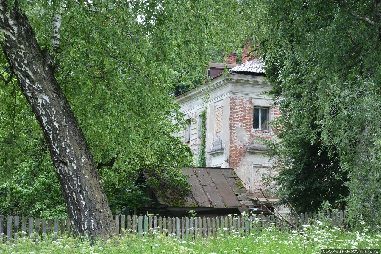 Петровское. Роковое наследство князей Мещерских - Мой отпуск - 6 октября -  Медиаплатформа МирТесен