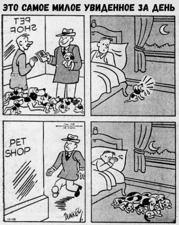 Фотоподборка среды 