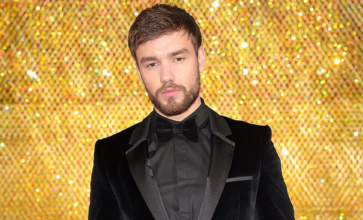 Лиам Пейн построил в своем саду копию хижины Хагрида из "Гарри Поттера": фото