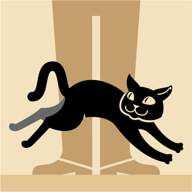 Как понять язык кота: Краткий человеко-кошачий словарь животные,коты,навыки,общение