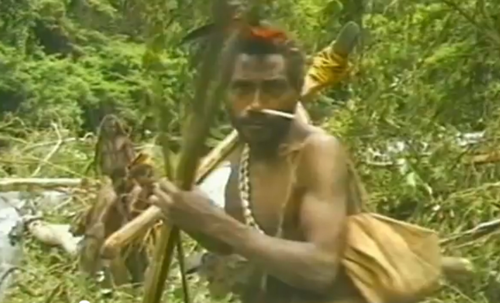 В 1973 году французы нашли в джунглях затерянный мир: видео племени, никогда не видевшего других людей Дютилье, французских, никогда, удалось, которые, Гвинеи, видео, контактировали, оставаться, предпочитали, племенами, другими, группа, тысячи, более, низинах, горной, изолированно, аборигены, выяснить