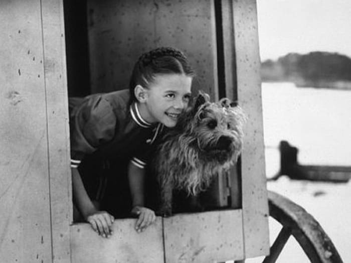 Русская звезда Голливуда: Как Наташа Захаренко превратилась в скандальную кинодиву Натали Вуд история кино,кино,киноактеры,моровой кинематограф