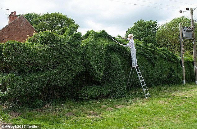 Самые необычные ограды в мире Самые необычные ограды в мире заборы,ландшафтный дизайн,необычное,ограды