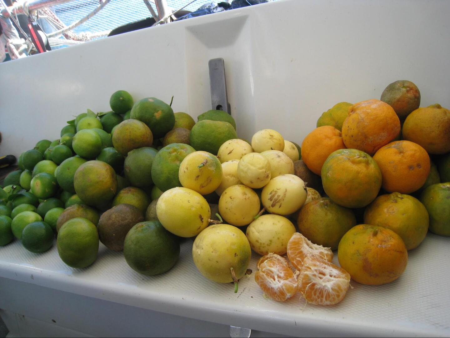 Как мы были робинзонами на необитаемом острове. Можно ли выжить на необитаемом острове в Тихом океане Как мы были робинзонами на необитаемом острове. Можно ли выжить на необитаемом острове в Тихом океане