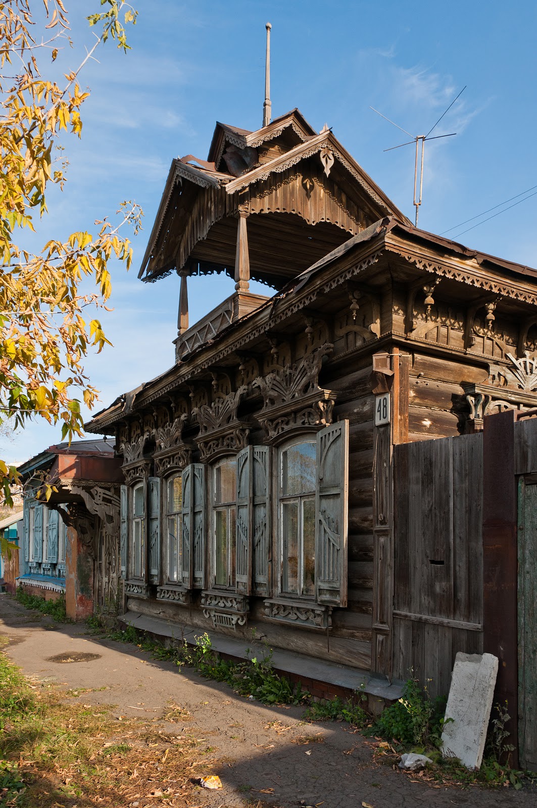 Купить Дерево В Омске