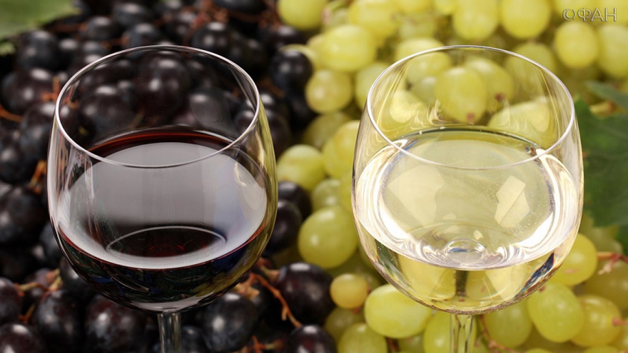 ФАН узнал, как развивается винодельческая отрасль в Краснодарском крае