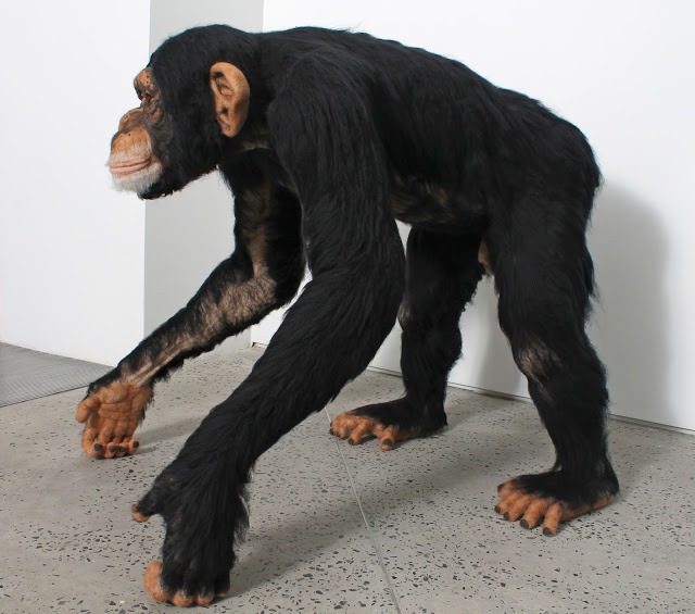 Мастер войлочных скульптур Kiyoshi Mino и его невероятно реалистичные работы Мастер войлочных скульптур Kiyoshi Mino и его невероятно реалистичные работы